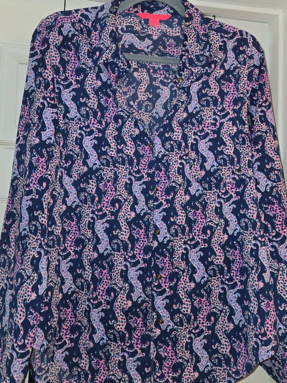 Button Top Blouse